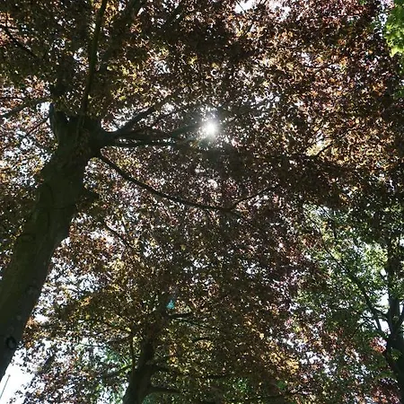 民宿 Perfectly Located Private Oaks And Beeches *